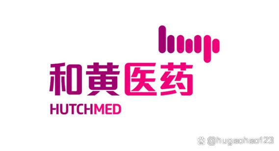 深度分析和黄医药在中国医药领域的投资价值 医疗投资管理视角